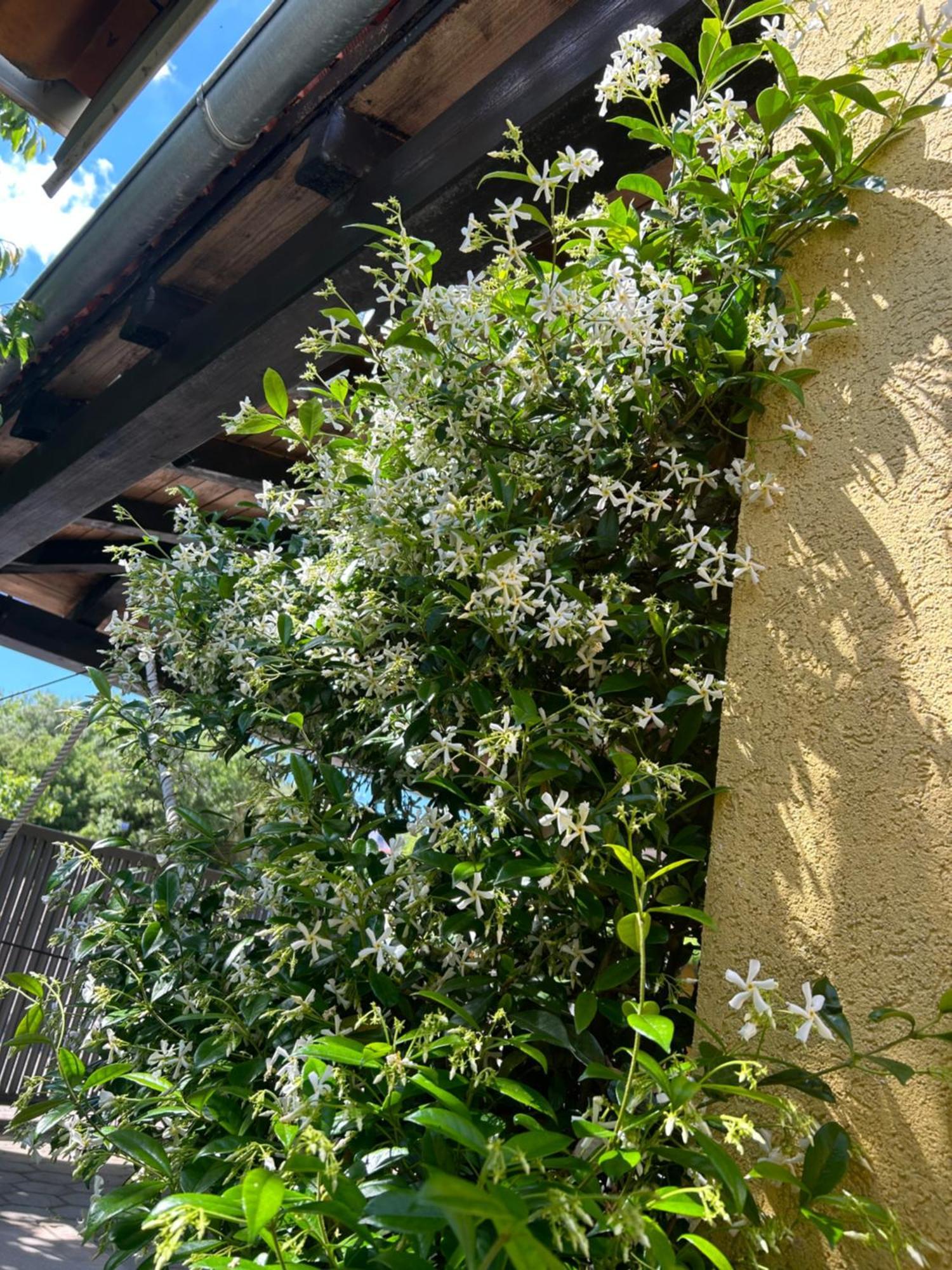 Apartmani Grguric Kornić Exterior foto