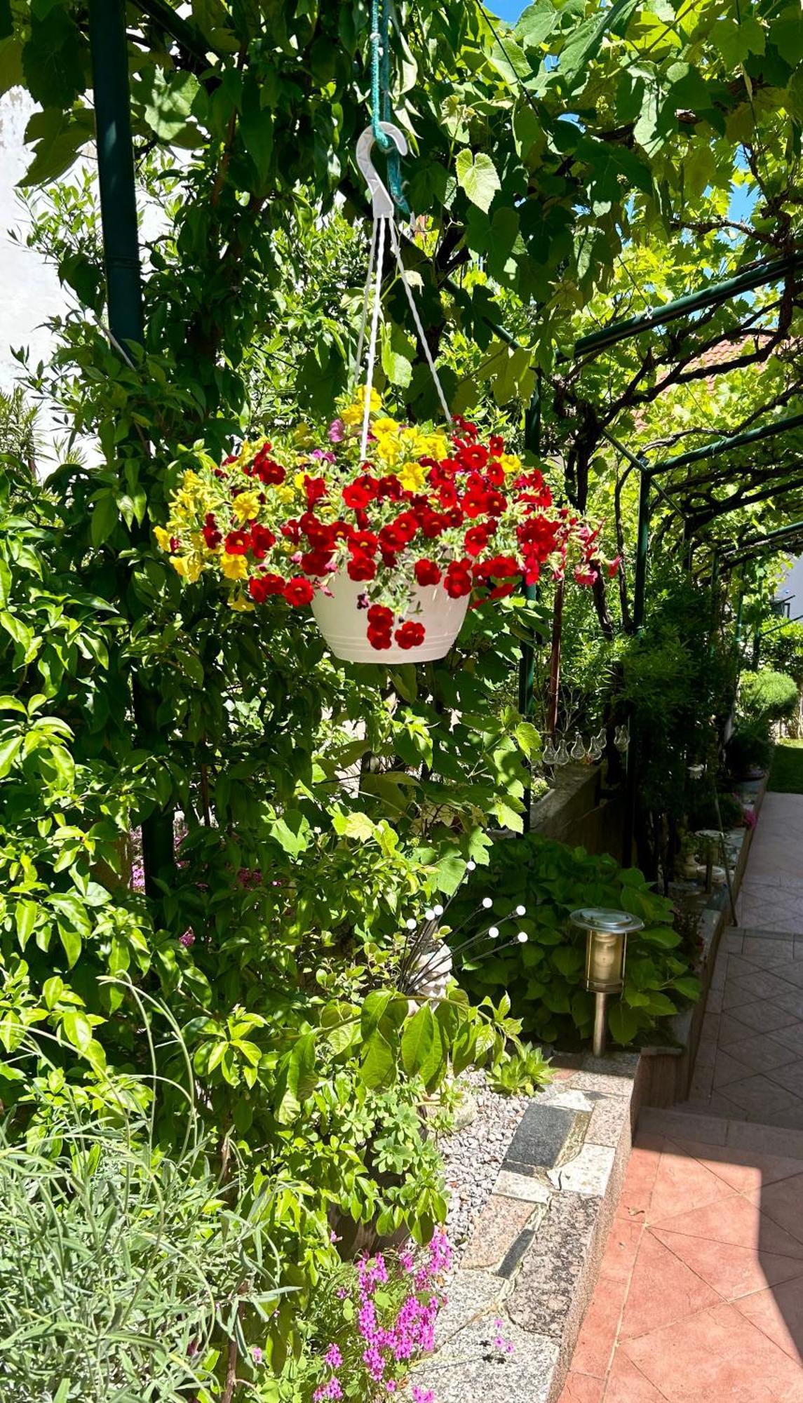 Apartmani Grguric Kornić Exterior foto